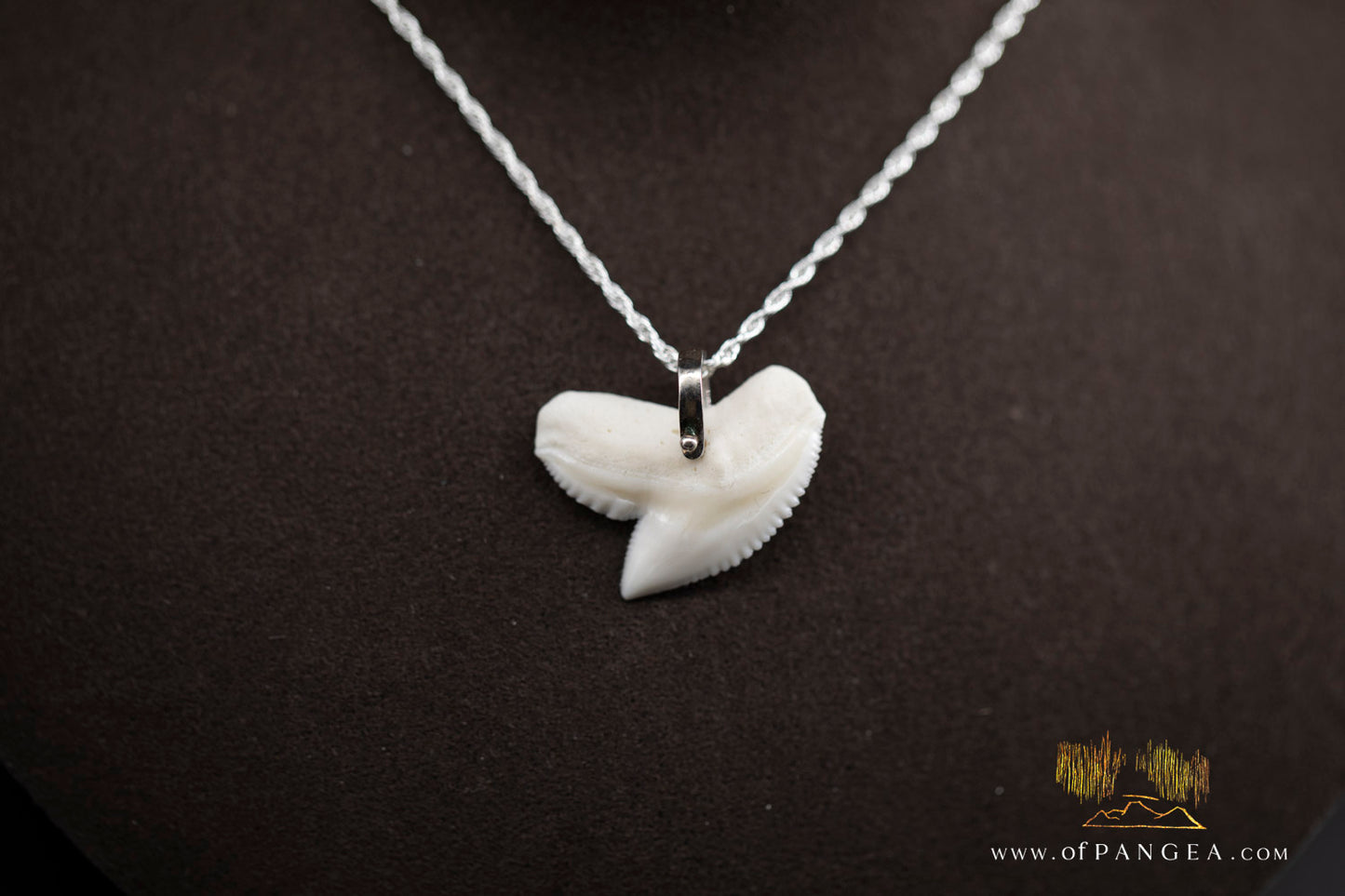 Tiger Shark tooth (Modern) Italian Sterling Silver chain necklace || JF979