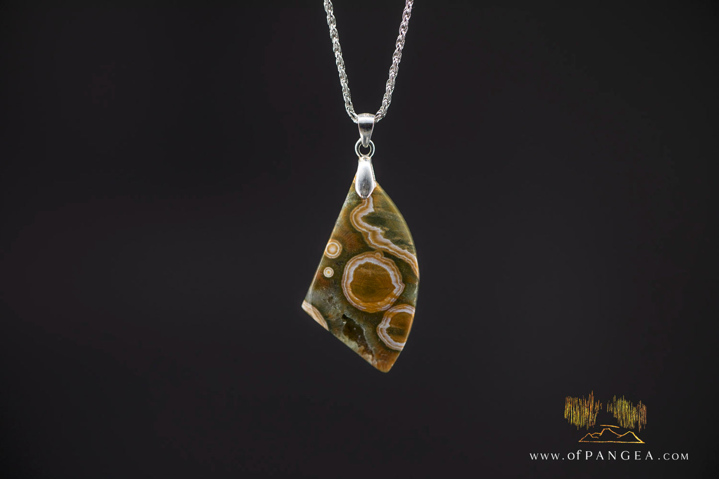 Ocean Jasper Drop Pendant and Italian Sterling Silver Rope Chain || JF984