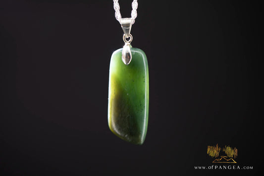 British Columbian Green Nephrite Jade Necklace - Italian sterling silver rope chain || JF991