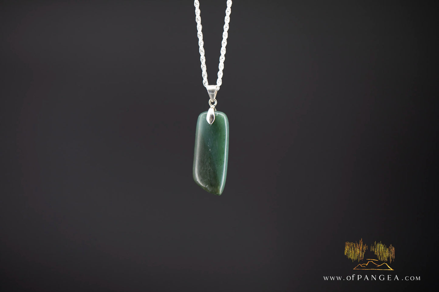 British Columbian Green Nephrite Jade Necklace - Italian sterling silver rope chain || JF991