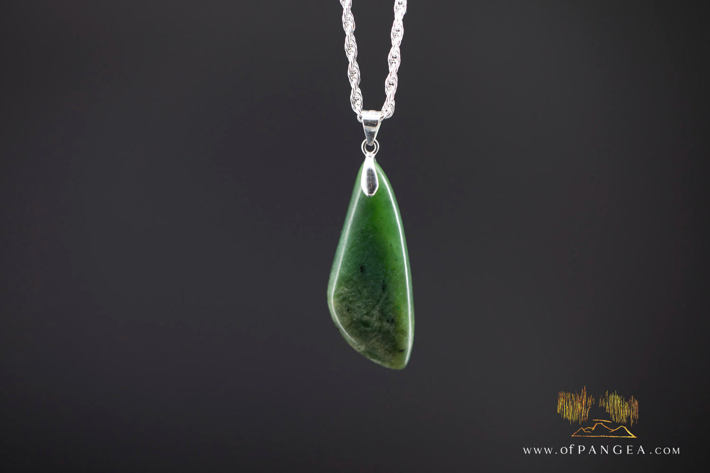 British Columbian Green Flower Nephrite Jade Necklace - Italian sterling silver rope chain || JF996