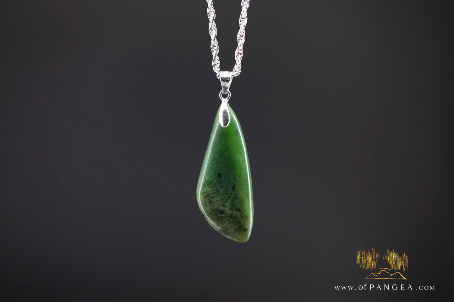 British Columbian Green Flower Nephrite Jade Necklace - Italian sterling silver rope chain || JF996