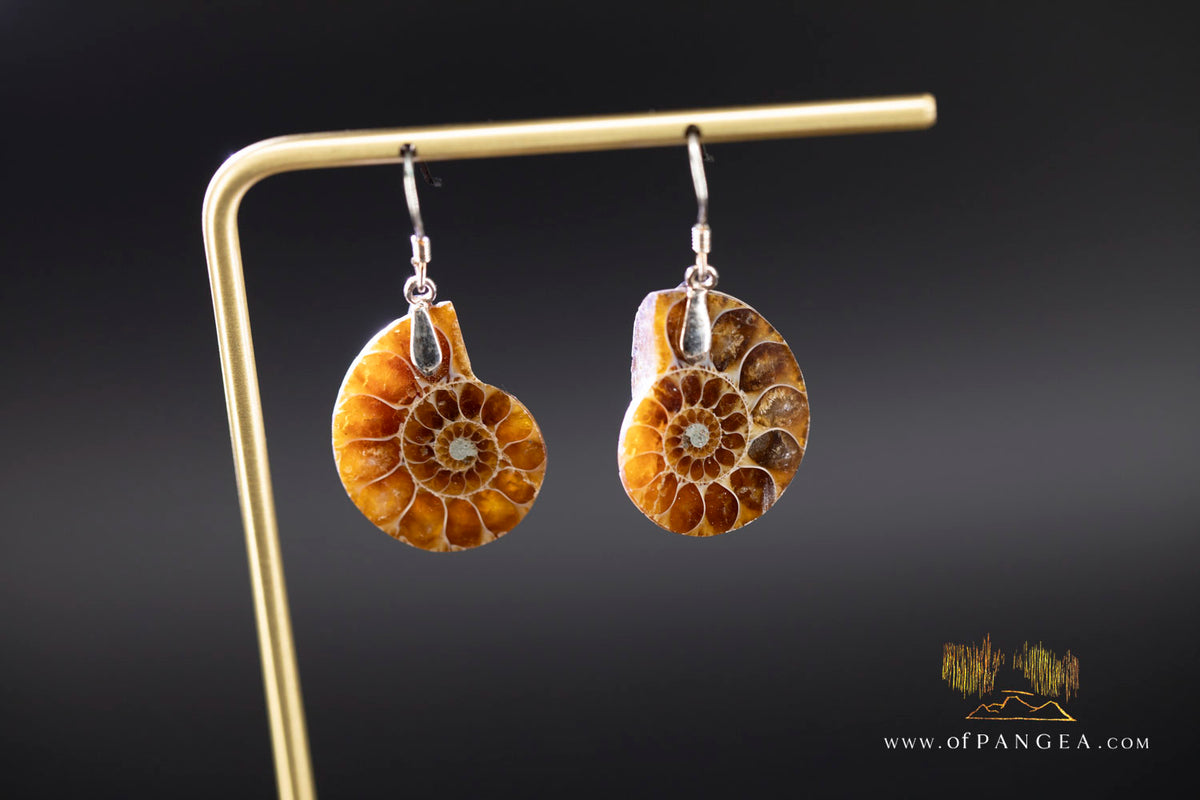 Per-mineralized Ammonite Half Earrings - sterling silver