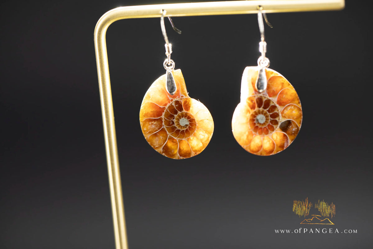 Per-mineralized Ammonite Half Earrings - sterling silver
