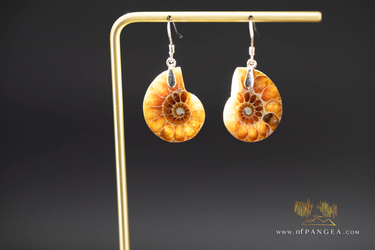 Per-mineralized Ammonite Half Earrings - sterling silver