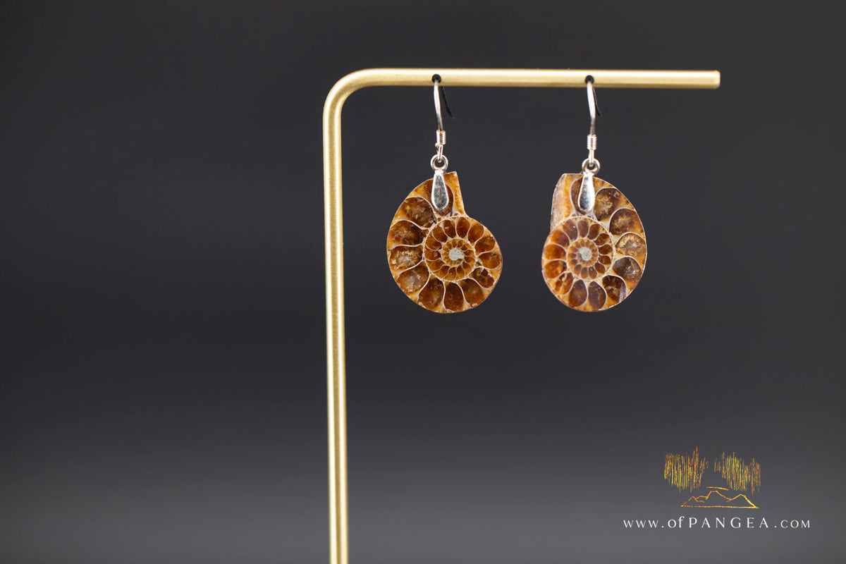 Per-mineralized Ammonite Half Earrings - sterling silver
