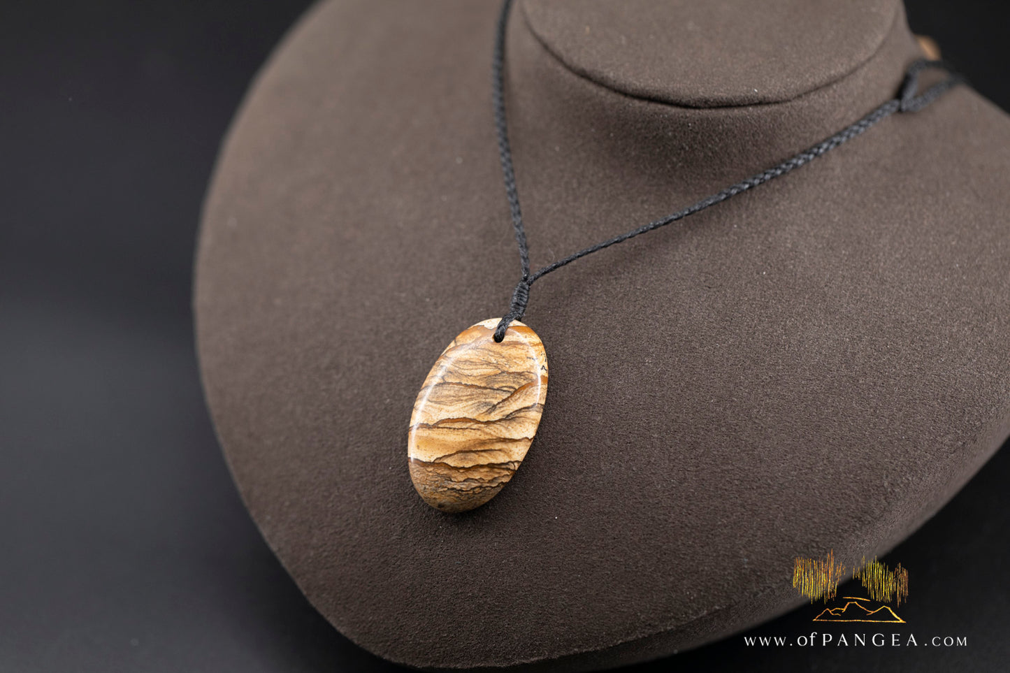Picture Jasper Oval Necklace - plaited cord