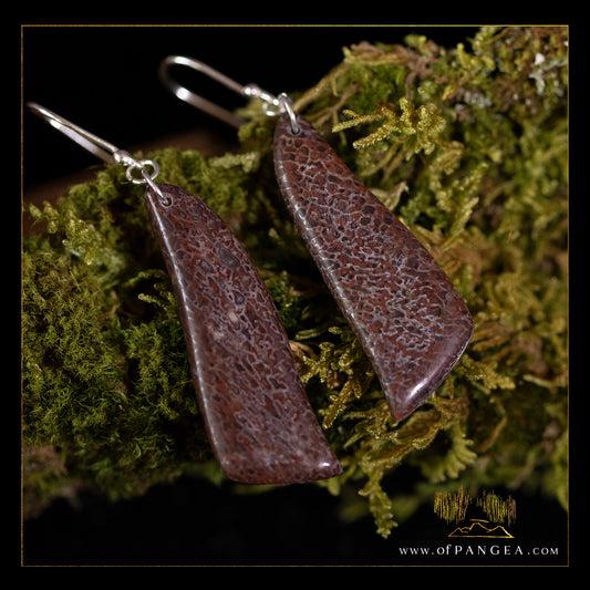 Dinosaur Gembone earrings - 0.925 sterling silver