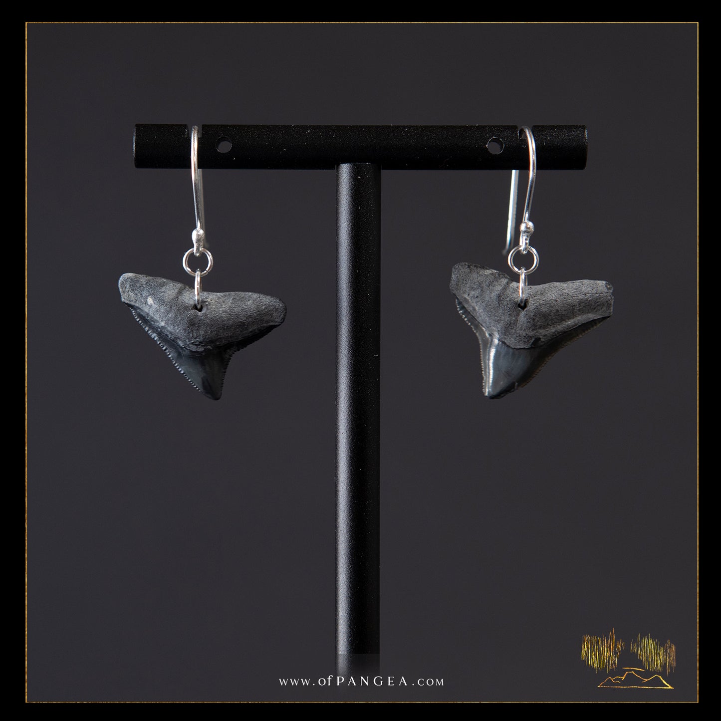 Fossilized shark tooth earrings - sterling silver || JF060