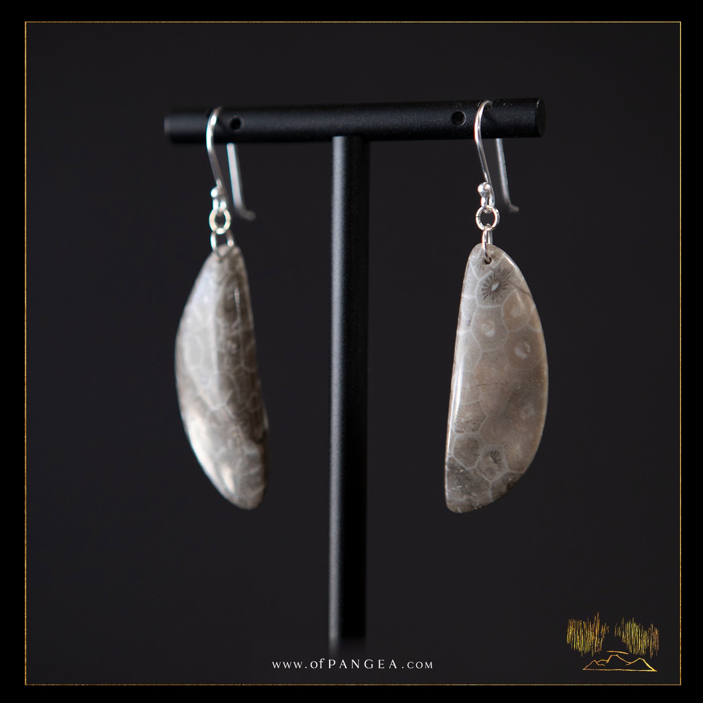 Fossilized coral earrings - sterling silver